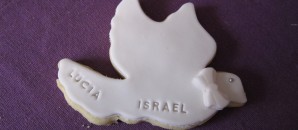 Galleta Paloma Blanca